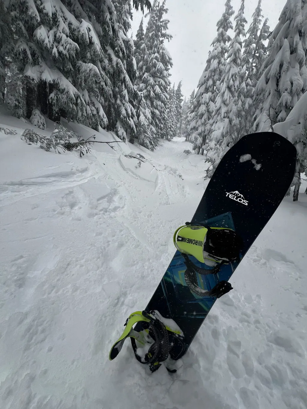 Rome SDS 390 Boss FW Pro fixations snowboard park