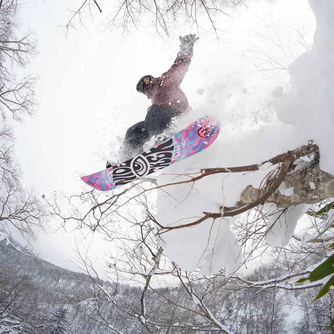 Niedecker Gamma snowboard twin asymétrique