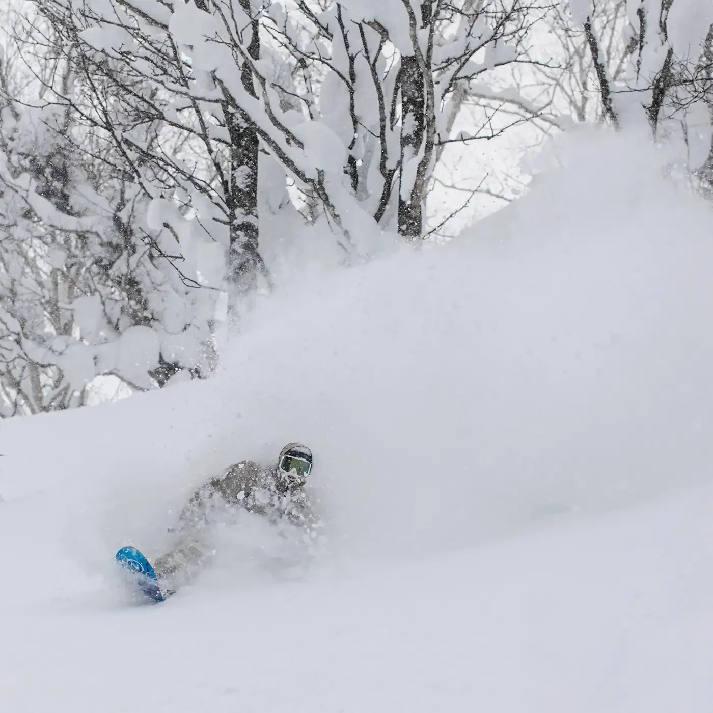 Niedecker Beta snowboard poudreuse