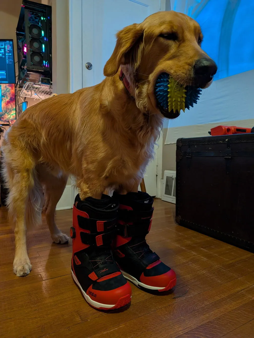 Thirtytwo ZB-1 BOA boots snowboard noir rouge
