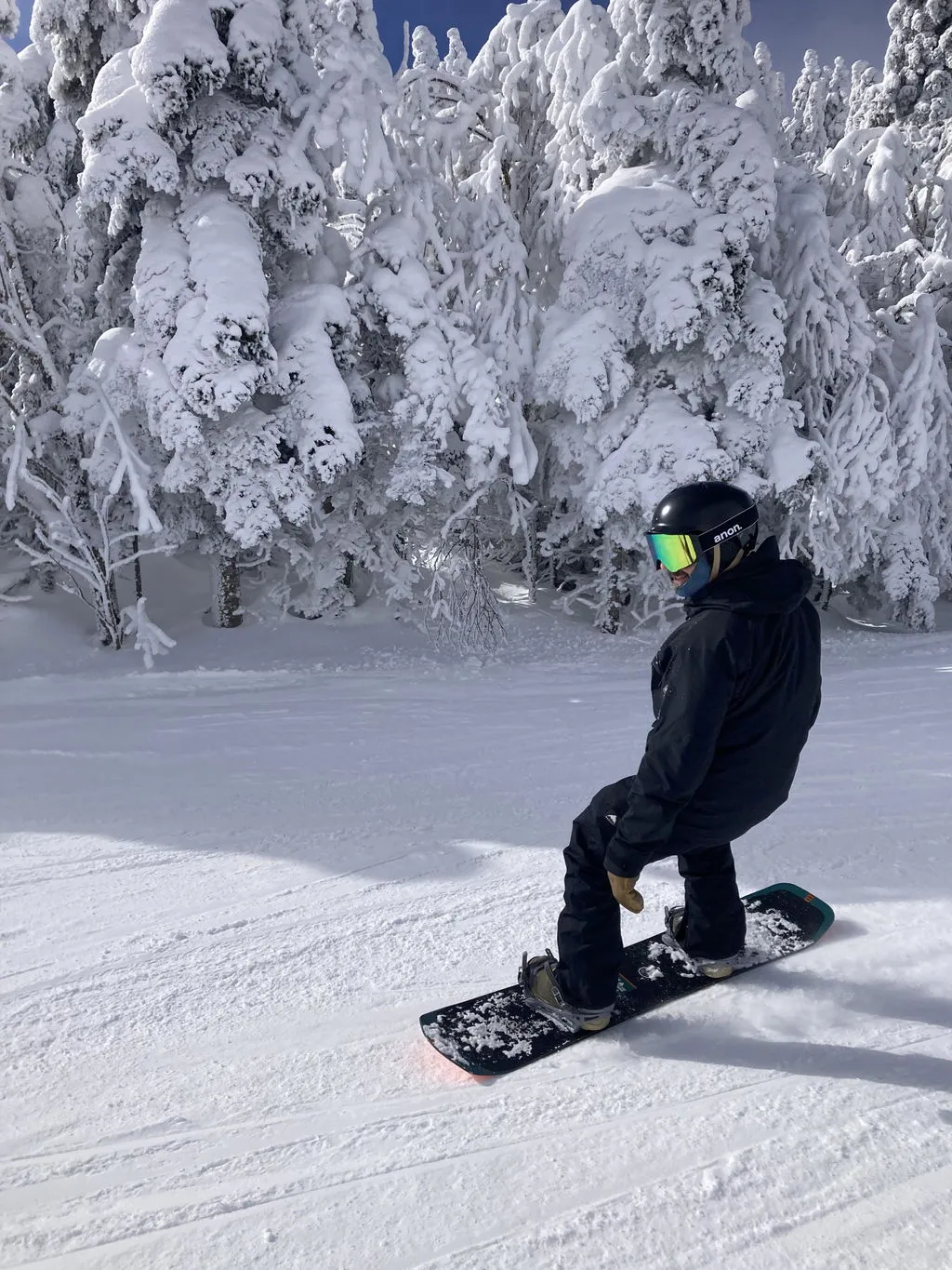 Rome SDS Ravine Pro Men's snowboard directionnel