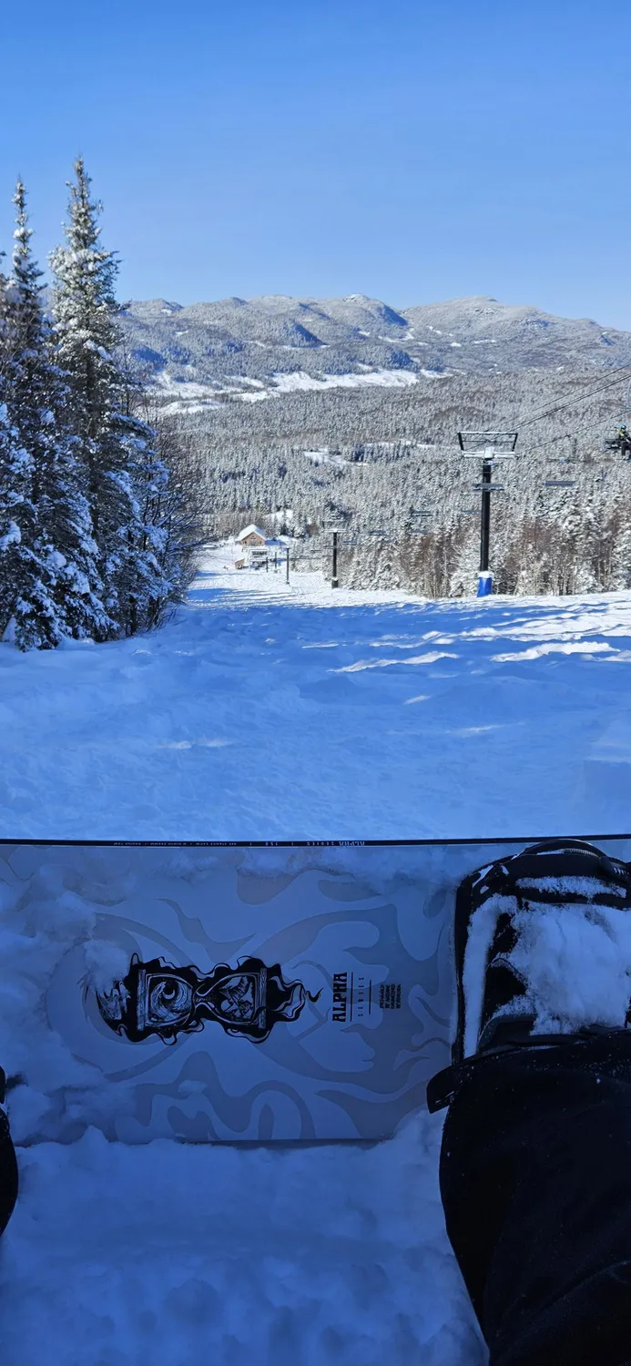 Niedecker Alpha snowboard all-mountain Spoon