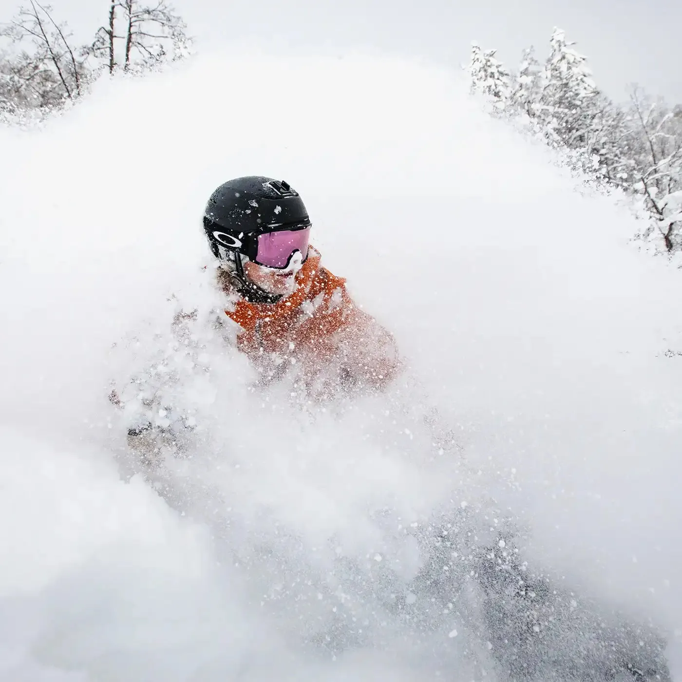Niedecker Alpha snowboard all-mountain Spoon
